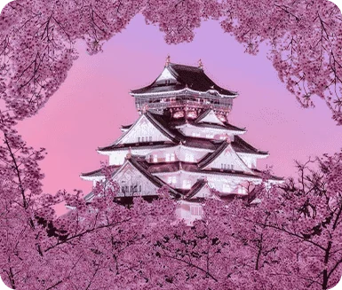Mount Fuji